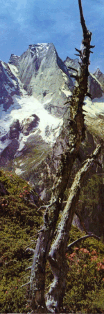 Pizzo Badile, Bergell, Zwitserland